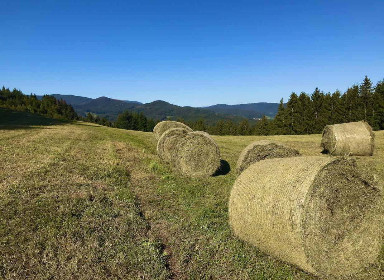 Genusshotel Hirschen - Erholung Im Gruenen Sallneck Экстерьер фото